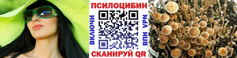 Псилоцибиновые грибы Cubensis  магазин продажи наркотиков  Белоусово 