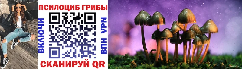 Галлюциногенные грибы мицелий Белоусово